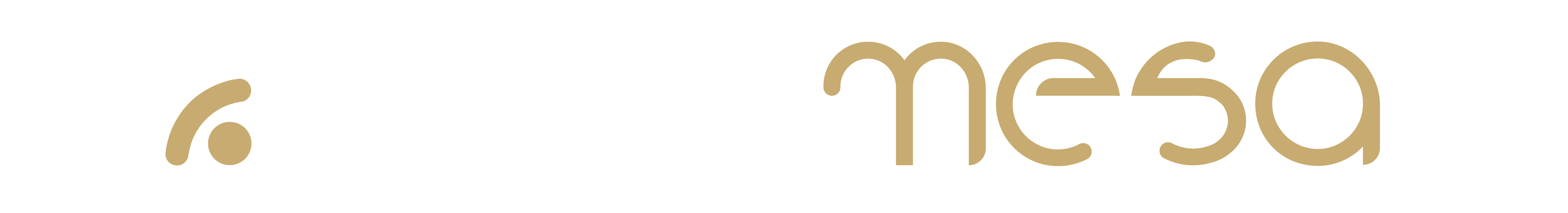 Logo TapMesa
